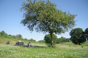 Wild camping a la farmers field