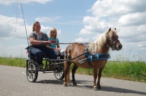 Three Dutch lovelies