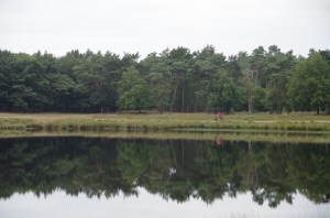 Wild camping night 3