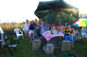 Donkey and Horse being well looked after