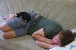 Cat nap post the spaghetti junction madness