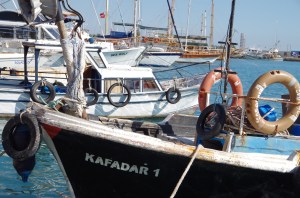 A packed harbour at Tusucu 