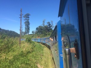 Blues and greens (care of Shruti's iphone)