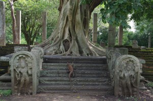 Its a monitor take over..