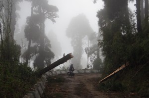 The aftermath of a Himalayan storm