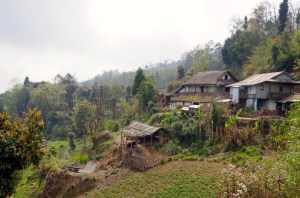 Dutch Masters bucolic inspiration