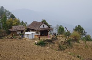 Spot the amorous goat and cat!