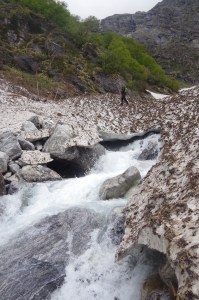 Melting snow in the Valley