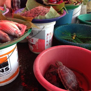 Happy Fathers Day with a crunch