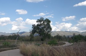 The lowlands between the peaks...a welcome relief