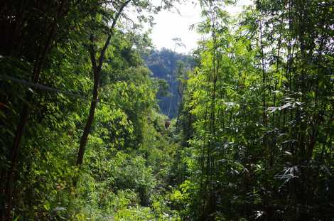 Zip lining through the jungle canopies!