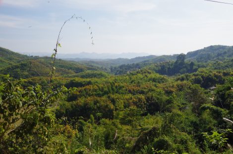 Rubber plantations mottling the hillsides