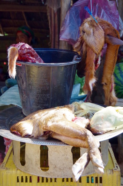 Roadside deconstructed goat