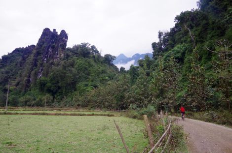 Limestone karsts tearing through the flat farmland