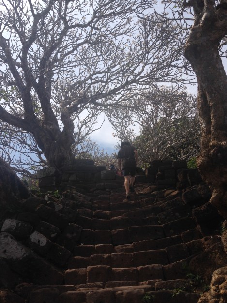 A Pans Labyrinth ascent at Wat Phou