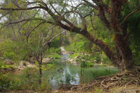 Magic scenes off the beaten trail. The bamboo ramp in the river is an inventive way for catching fish