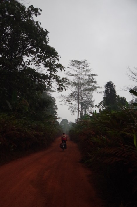 Jungle starts in the Cardamom