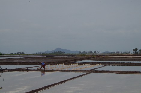 Cambodian salt fields