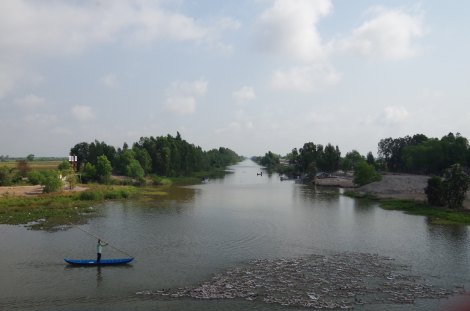 Duck farming Mekong style