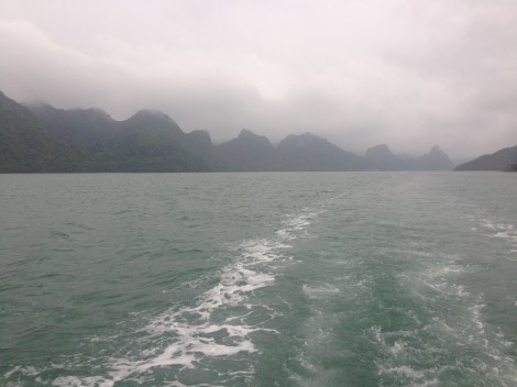 Gorillas (Karsts) in the mist