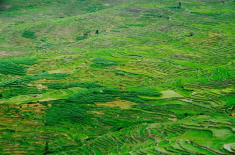Yuanyangs never ending rice terraces