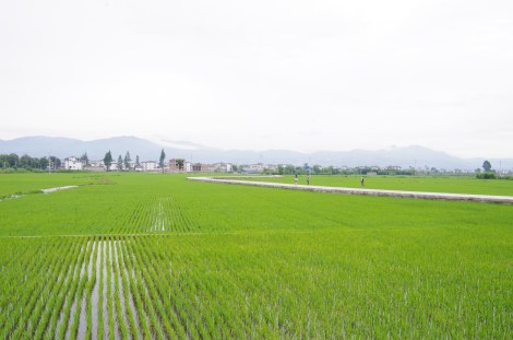 Manicured and cleaned to perfection