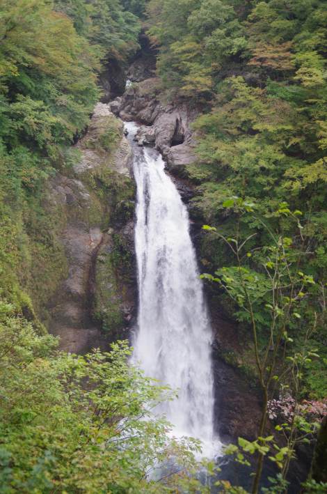 Hidden daily gems in the mountains surrounding Yamagata