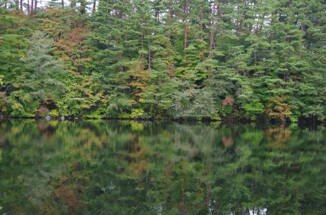 The beginnings of our autumn backdrop