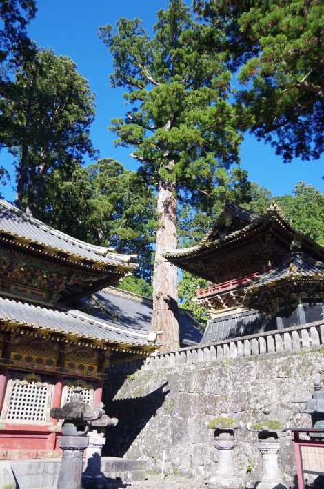 Nikko temples in a forest of ancient pines