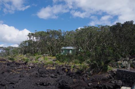Aucklands volcanic Rangitoto island