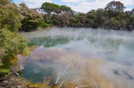 Multicoloured hot pools of Rotarua, keeping things prehistoric