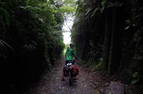 Keeping things damp and dark on the old Timber railway trail